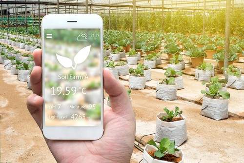IoT Enabled Greenhouse – A Reality