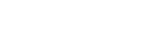 SecureSense Logo